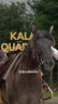 Cavalla Quarter Horse In vendita 2020 Grullo ,  JAZ GC DE PLATA