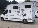 Van per Cavalli Trans Box Svelto 4 2020 Occasione