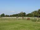 Centro di stagione cavallo In vendita Calvados
