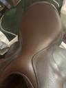 Sella mista Forestier Club 18" - 2024