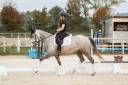Cavalla Lusitano In vendita 2020 Grigio