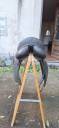 Sella da dressage  Knight rider 17" - 2024