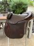 Bareback  Guy cantin 14.5" - 2018