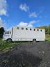 Camion per Cavalli Renault Midliner150 1998 Occasione