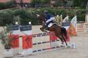 Pony insuperabile