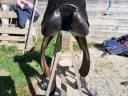 Sella da dressage Forestier  17.5" - 2010