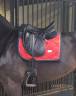 Sella da dressage Devoucoux  17.5" - 2009