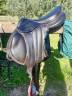 Sella mista Forestier  17.5" - 2022