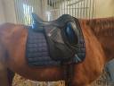 Sella da dressage Bates  17.5" - 2022
