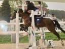 Super pony da salto