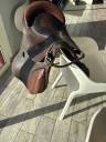 Bareback  Guy Cantin  14" - 2022