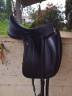 Sella da dressage Equipe  17" - 2022