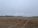Azienda agricola In vendita Loiret