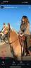 Vendesi haflinger femmina con pedigree