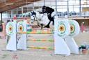 Bravissimo Pony 