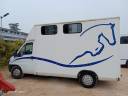 VENDO VAN 2 CAVALLI 