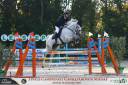 Cavallo Sella Italiano 