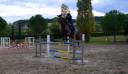 CAVALLO DA SALTO IN VENDITA