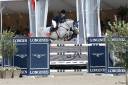 Fattrice sBs Cavallo da Sport Belgio In vendita 2007 Baio ,  KASHMIR VAN T SCHUTTERSHOF