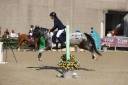 Pony classe b da salto
