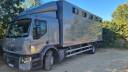 Camion per Cavalli Renault Club 10 Places + Sellerie avant sans porte latéral 2009 Occasione