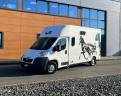 Van per Cavalli Theault VL BOXER THEAULT PROTEO 2014 Occasione
