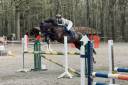 Castrone sBs Cavallo da Sport Belgio In vendita 2014 Altro colore ,  ultra boy