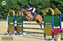 Super pony francese del 2012 in vendita