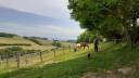 Azienda equestre In vendita Rhône