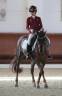 Pony da dressage 