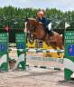 Cavallo da salto ostacoli 