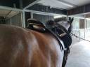 Sella da dressage  KN 17.5" - 1995