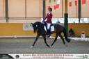 Pony tedesco da dressage