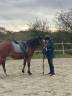 Sella da dressage Antarès  17.5" - 2016