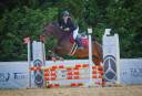 Cavallo da brevetto