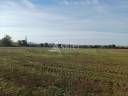 Azienda agricola In vendita Dordogne