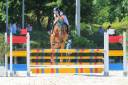 Vendesi Cavallo Belga
