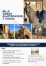 Puledro Quarter Horse In vendita 2020 Crema ,  Leo’s golden biscuit