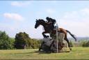 Cavallo in vendita