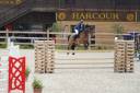 Castrone Sella Francese In vendita 2015 Baio ,  CONTENDRO