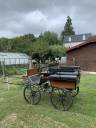 Attacchi - Calesse - Altra marca -  