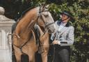 OPIUM DU DASTUGUE - Lusitano 2018 ,  Altivo SQT