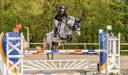 Cavalla PFS Pony Francese da Sella In vendita 2016 Grigio