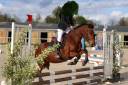 Cavalla PFS Pony Francese da Sella In vendita 2019 Baio