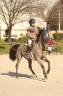 SUPER PONY?