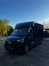 Van per Cavalli STX Master  2022 Occasione