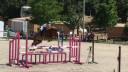 Vendita pony Francese 
