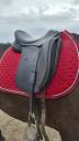 Sella da dressage TdeT  17.5" - 2024