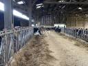 Azienda ovina In vendita Allier