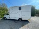 Van per Cavalli Ford ford 1996 Occasione